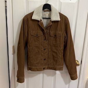 Hm shearling bike jacket